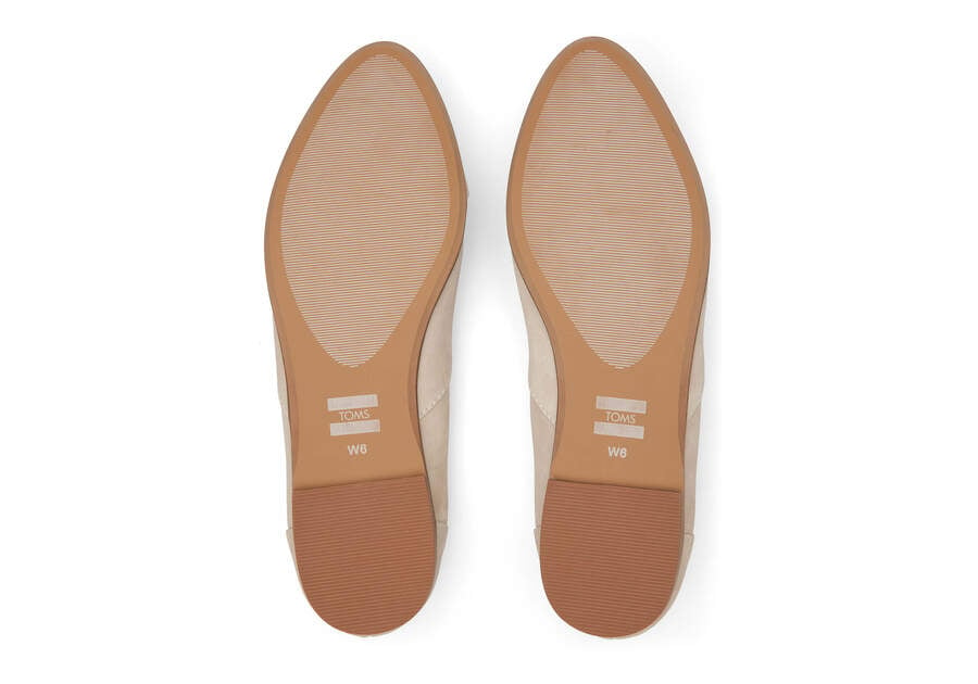 Brown Toms Jutti Neat Flat Flat Shoes Australia Sale | AU440-003