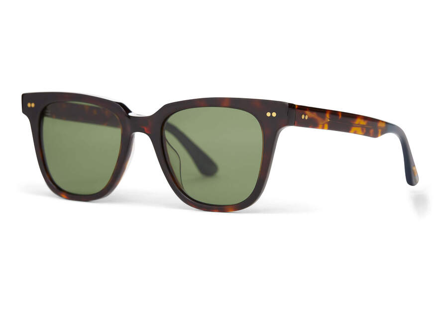 Dark Tortoise Toms Memphis 301 Australia Sale | AU113-230