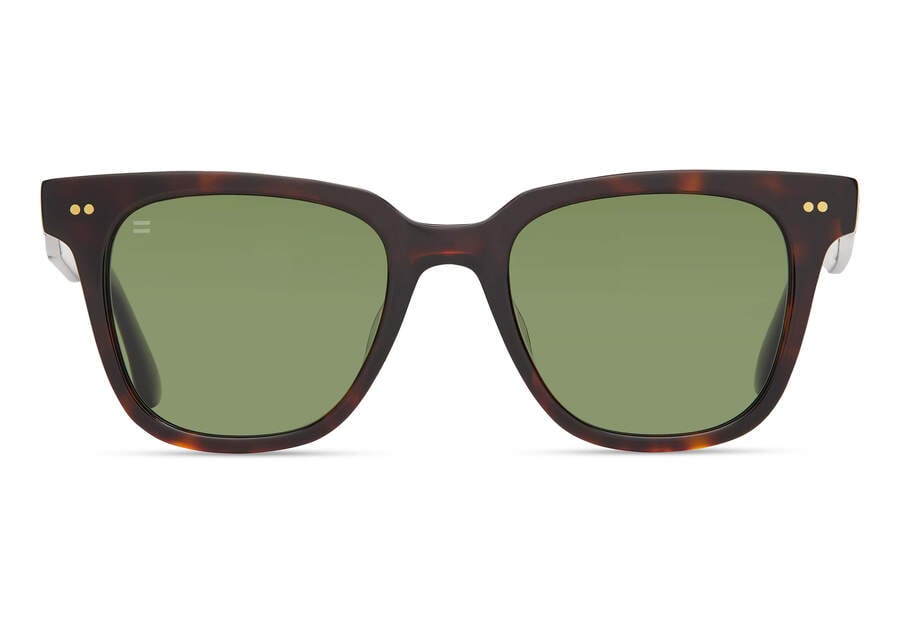 Dark Tortoise Toms Memphis 301 Australia Sale | AU113-230