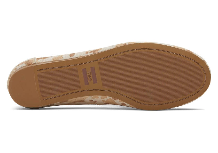 Honey Beige Toms Darcy Flat Flat Shoes Australia Sale | AU920-785