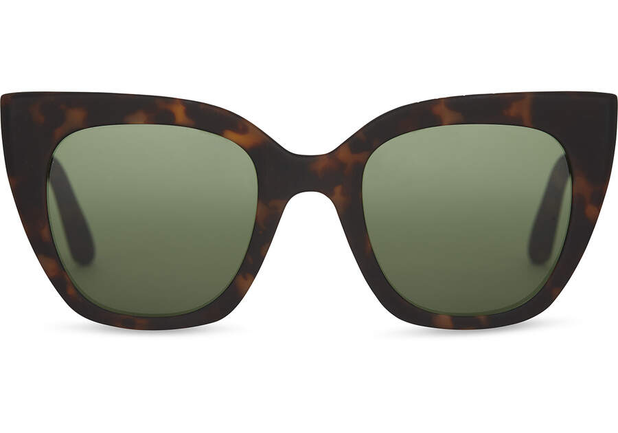 Matte Blonde Tortoise- Bottle Green Toms Sydney Australia Sale | AU610-017