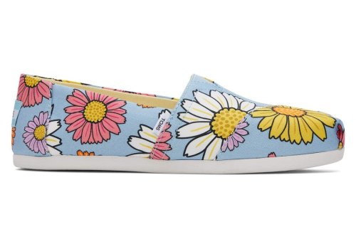 Pastel Blue Daisies Toms Alpargata Daisies Australia Sale | AU599-059